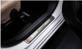 دعاسة عتبة عادية