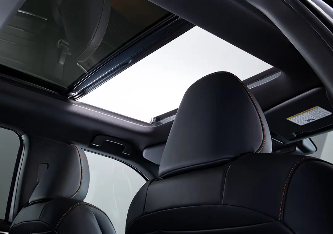 لا تفوّت المناظر الرائعة أثناء القيادة